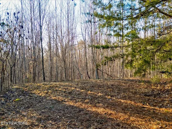 $99,000 | Lot 31 Sonshine Ridge Road, Cosby, TN 37722
