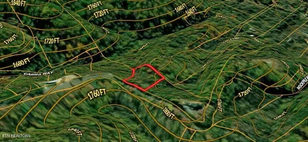 $99,000 | Lot 31 Sonshine Ridge Road, Cosby, TN 37722