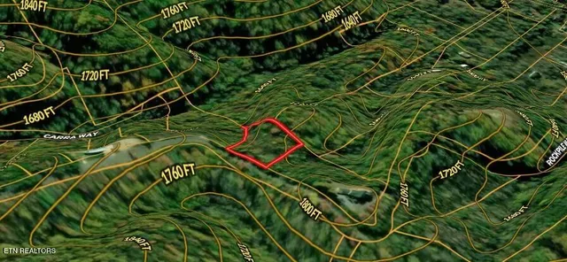 $99,000 | Lot 31 Sonshine Ridge Road, Cosby, TN 37722