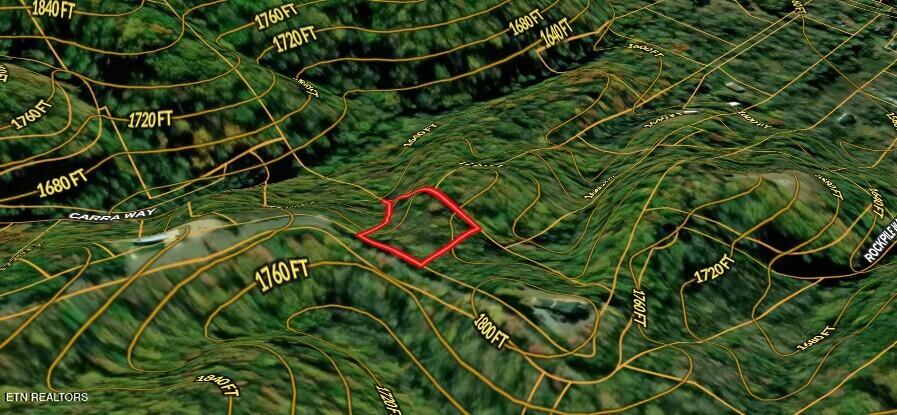 Lot 31 Sonshine Ridge Road Cosby, TN 37722 - Photo 10 of 25 Lot 31 Sonshine Ridge Rd - 10