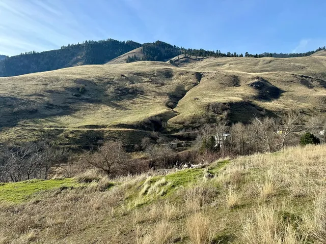 $175,000 | Tbd East Shingle Creek Road, Unit 7, Riggins, ID 83549