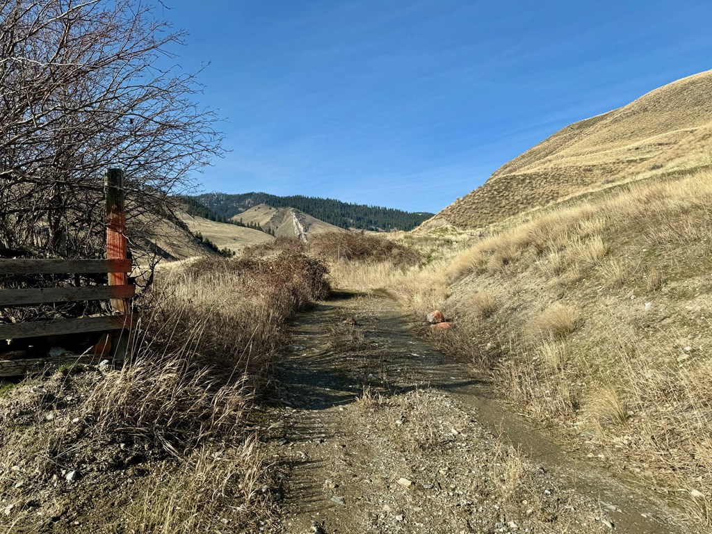 Tbd East Shingle Creek Road, Unit 7 Riggins, ID 83549 - Photo 3 of 20