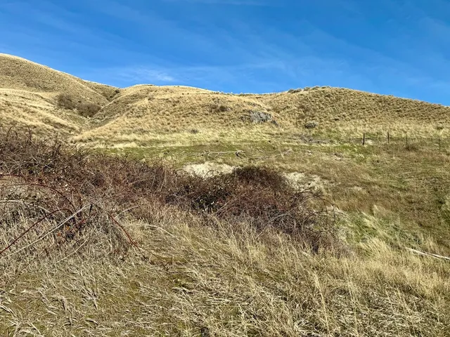 $175,000 | Tbd East Shingle Creek Road, Unit 7, Riggins, ID 83549