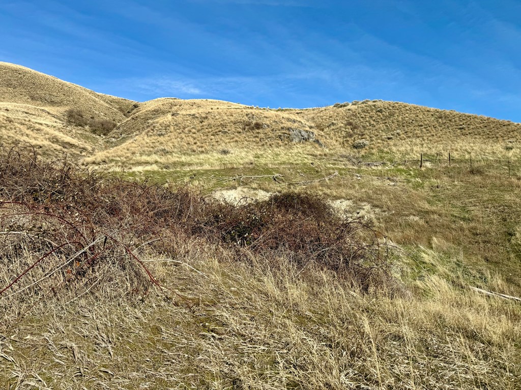 Tbd East Shingle Creek Road, Unit 7 Riggins, ID 83549 - Photo 6 of 20