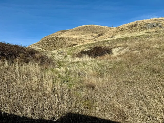 $175,000 | Tbd East Shingle Creek Road, Unit 7, Riggins, ID 83549