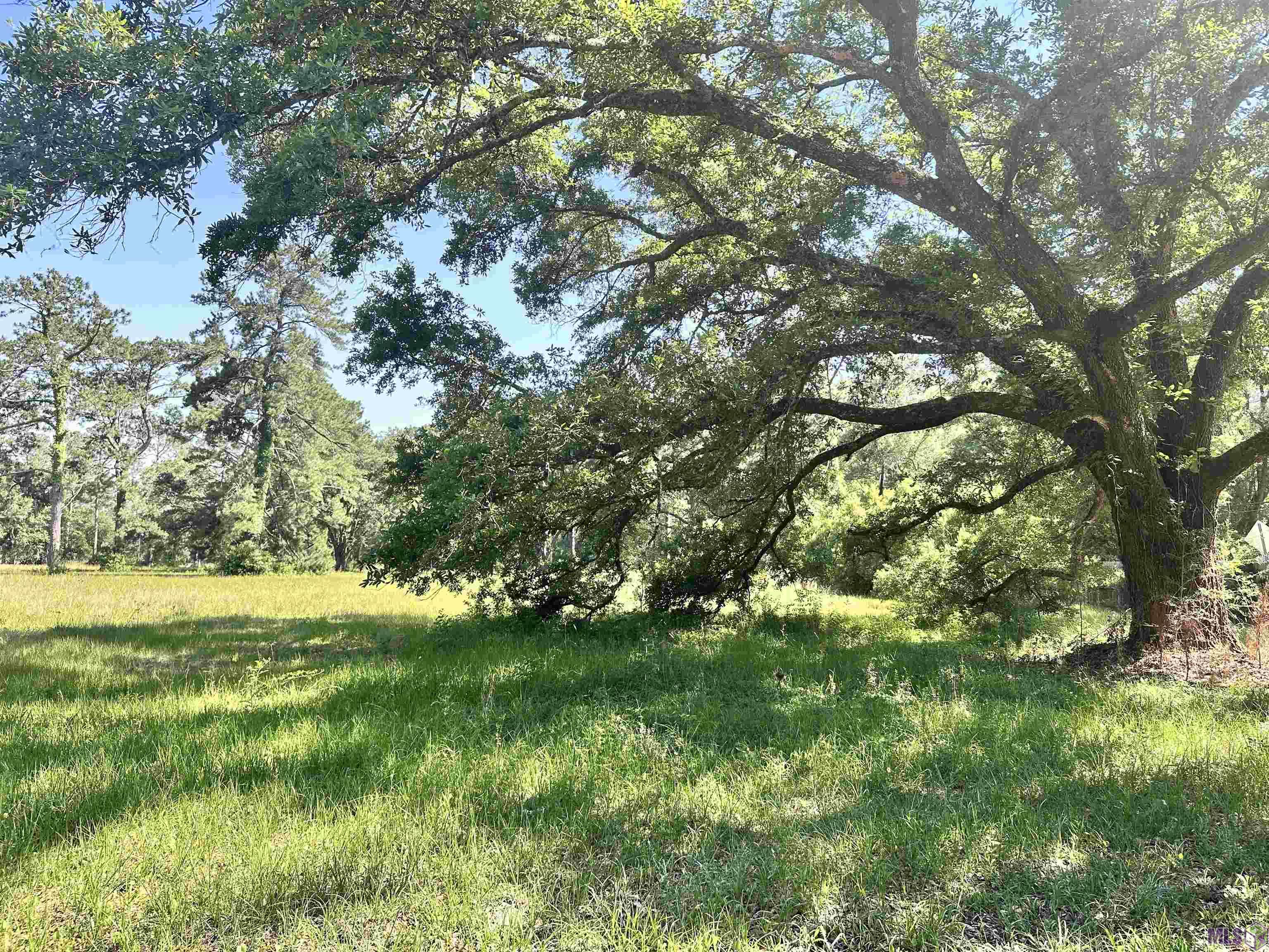 Lot# A-2-2 Lot Road Covington, LA 70433 - Photo 7 of 10
