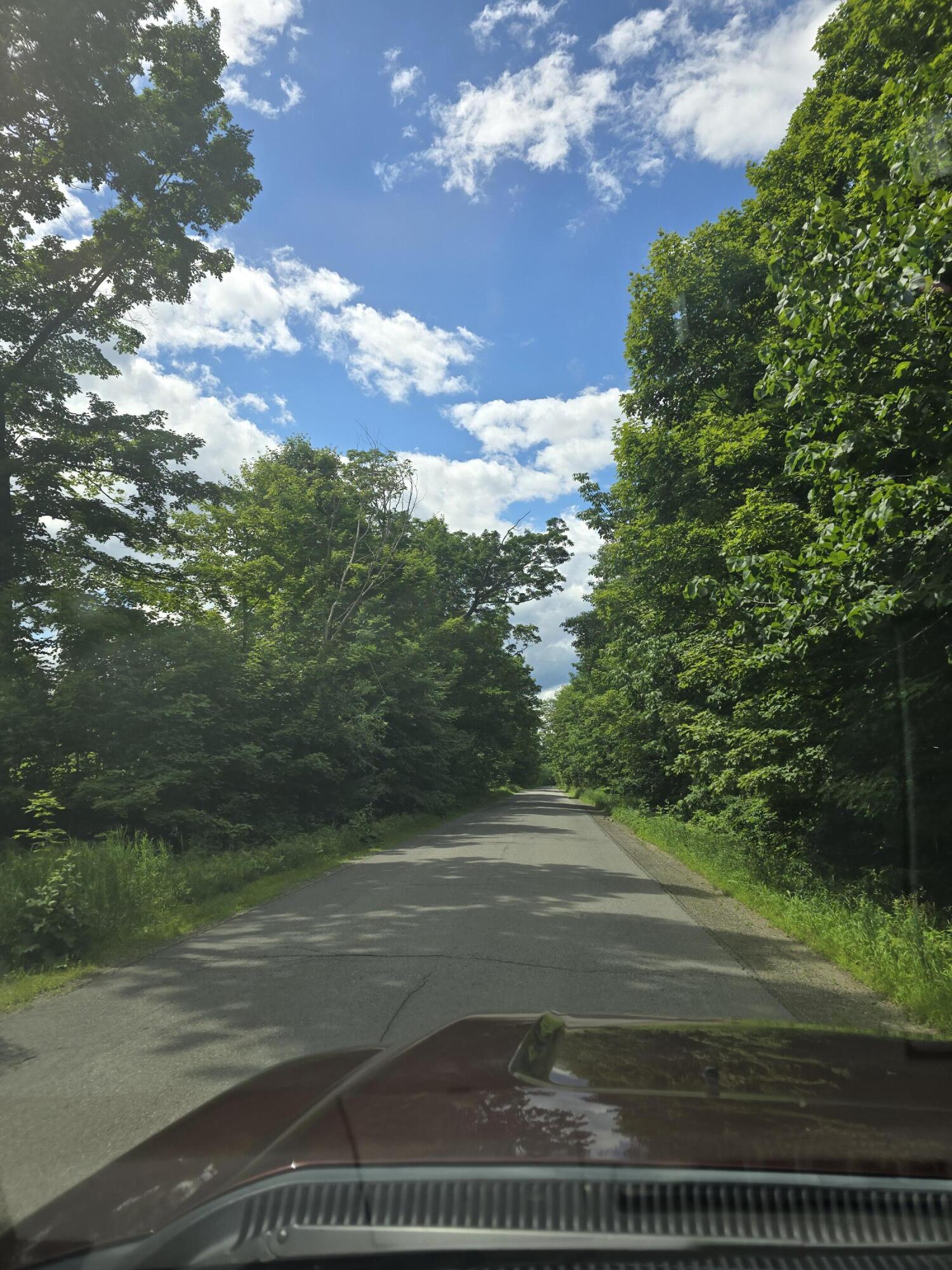 0 Oliver Hill Road Garland, ME 04939 - Photo 3 of 12 20240627_141833