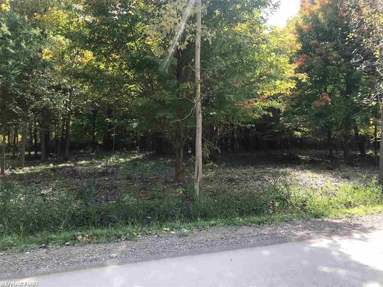 25 25 Mile Road New Baltimore, MI 48047 - Photo 2 of 3
