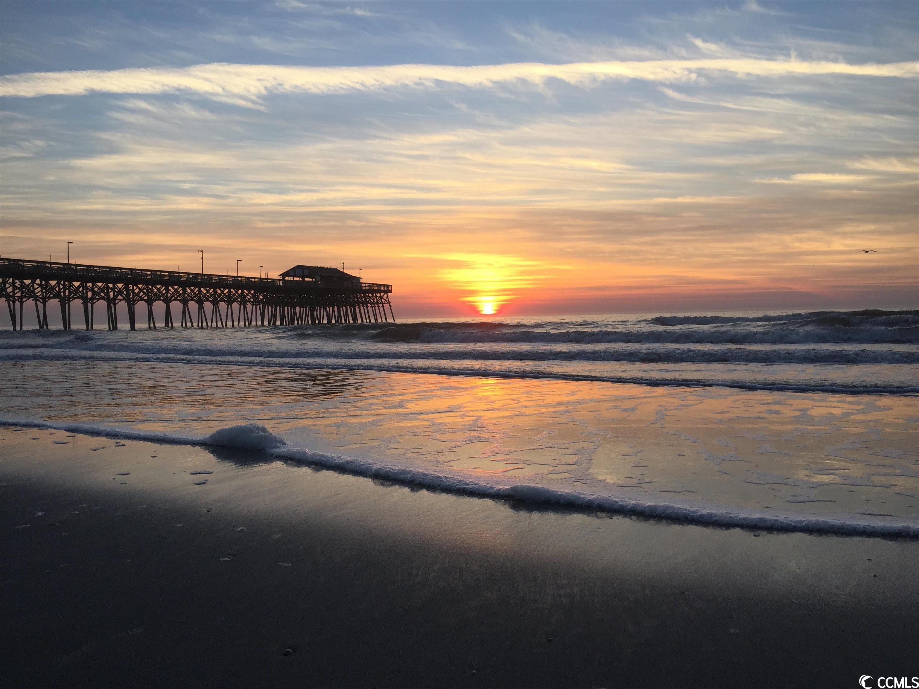 107 Cold Water Circle Myrtle Beach, SC 29588 - Photo 34 of 36