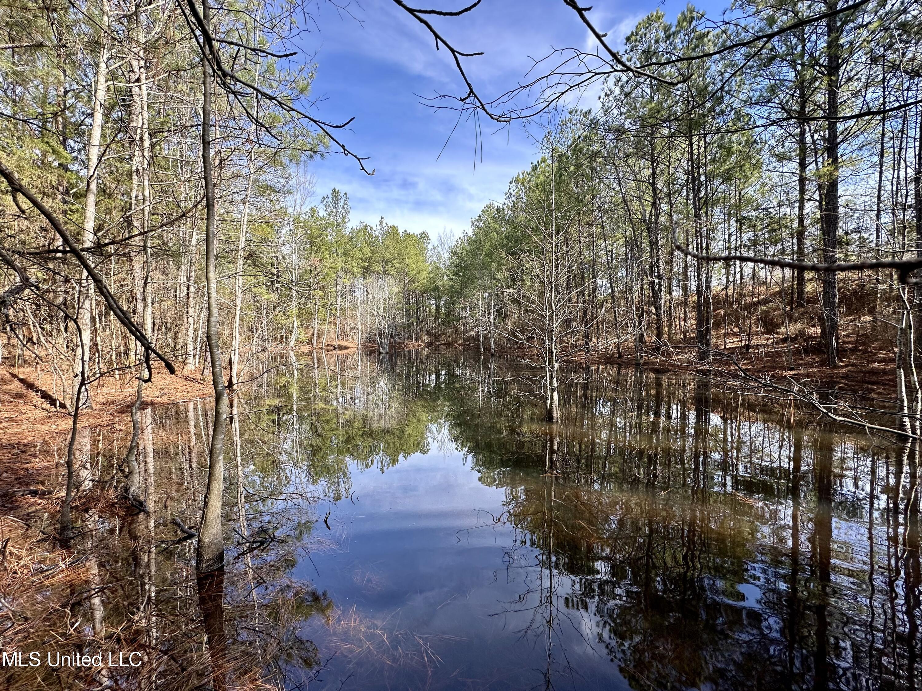 Bates Road Road Louisville, MS 39339 - Photo 1 of 27 IMG_5575