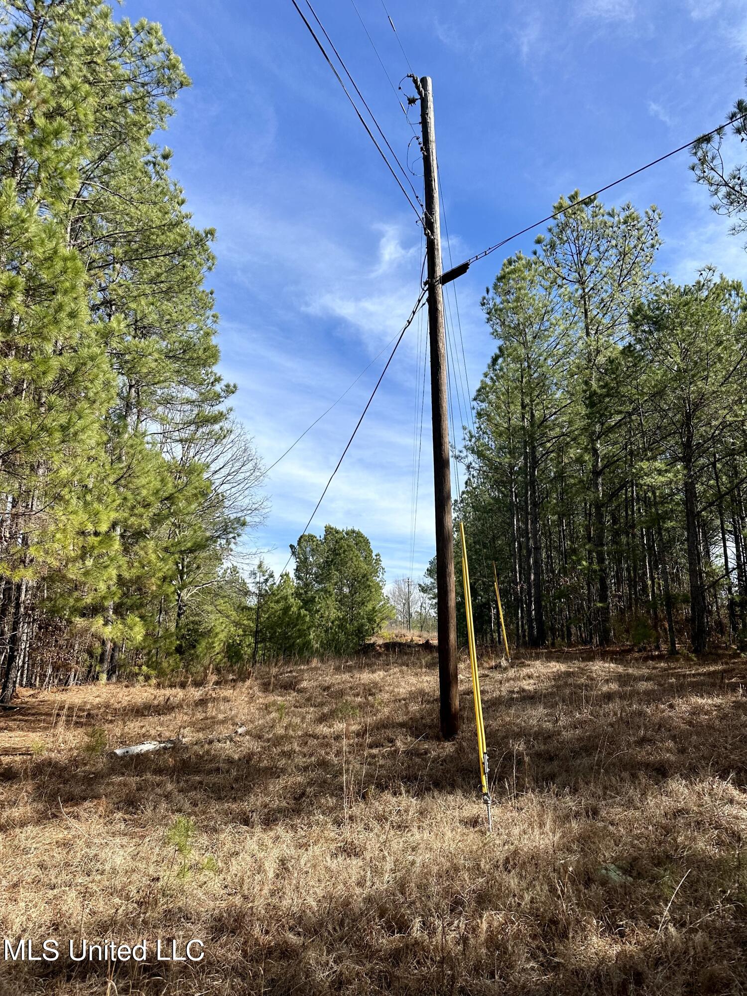 Bates Road Road Louisville, MS 39339 - Photo 12 of 27 IMG_5576
