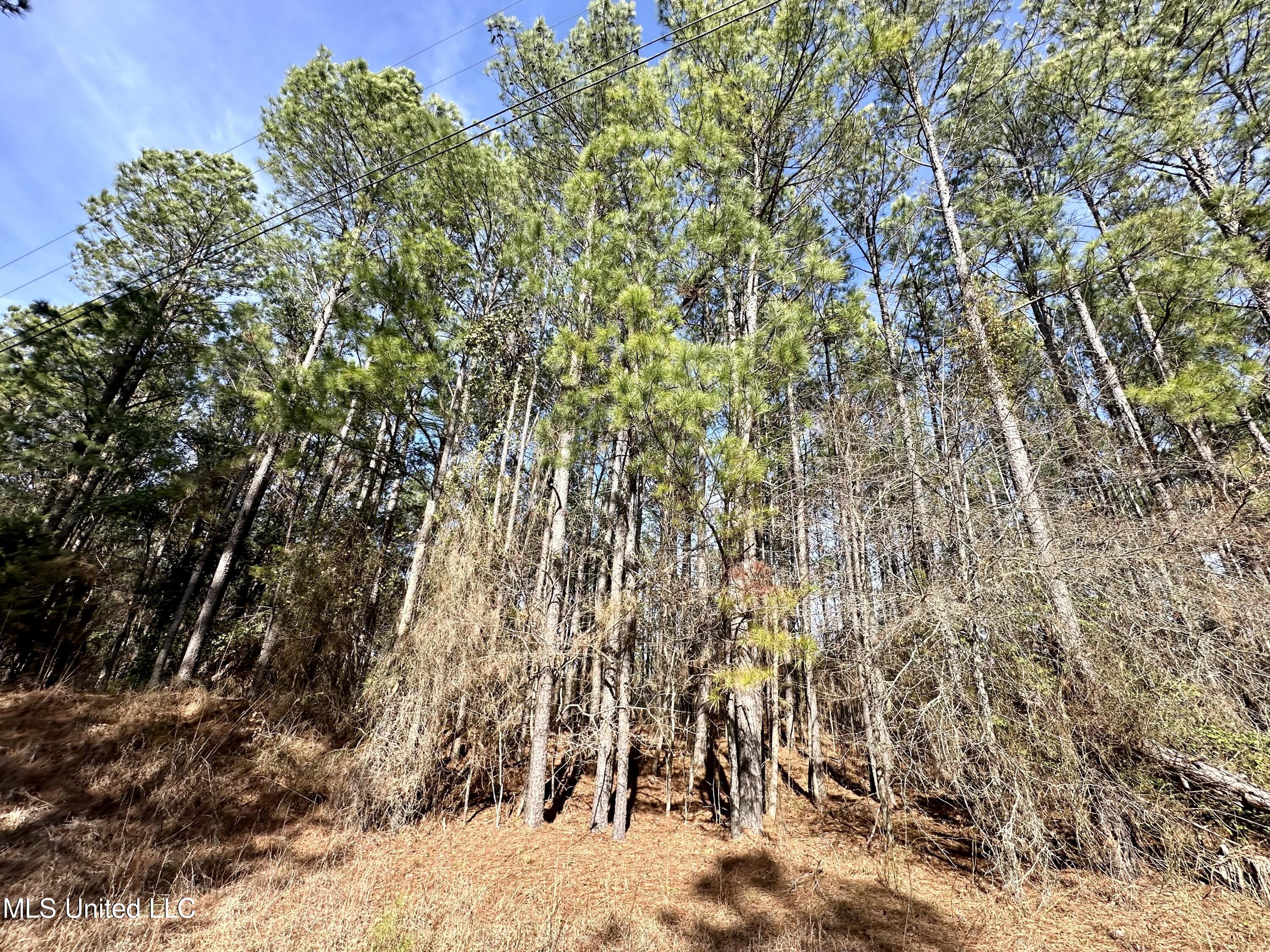 Bates Road Road Louisville, MS 39339 - Photo 13 of 27 IMG_5577