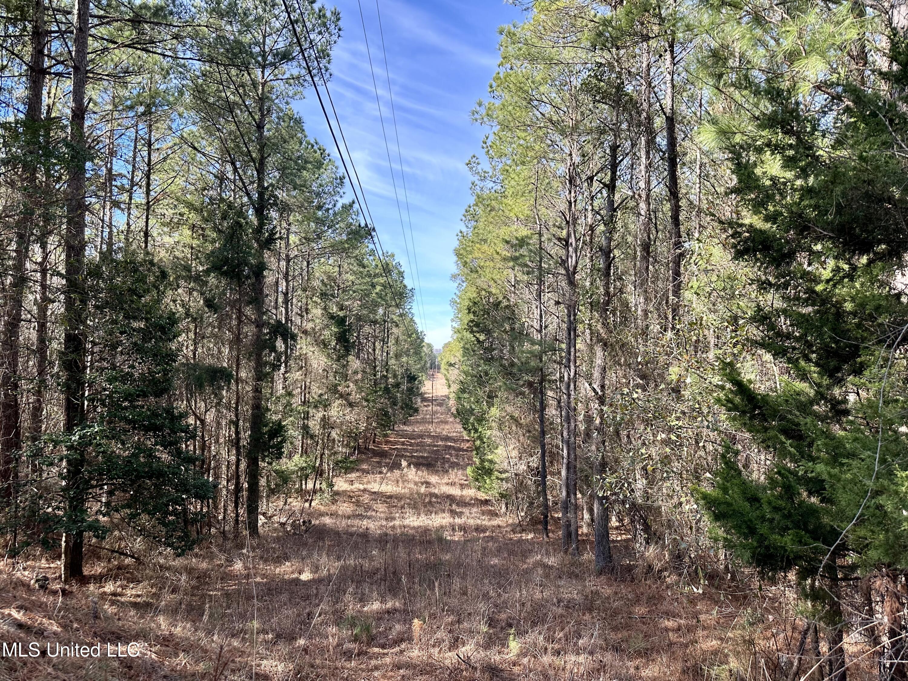 Bates Road Road Louisville, MS 39339 - Photo 14 of 27 IMG_5578
