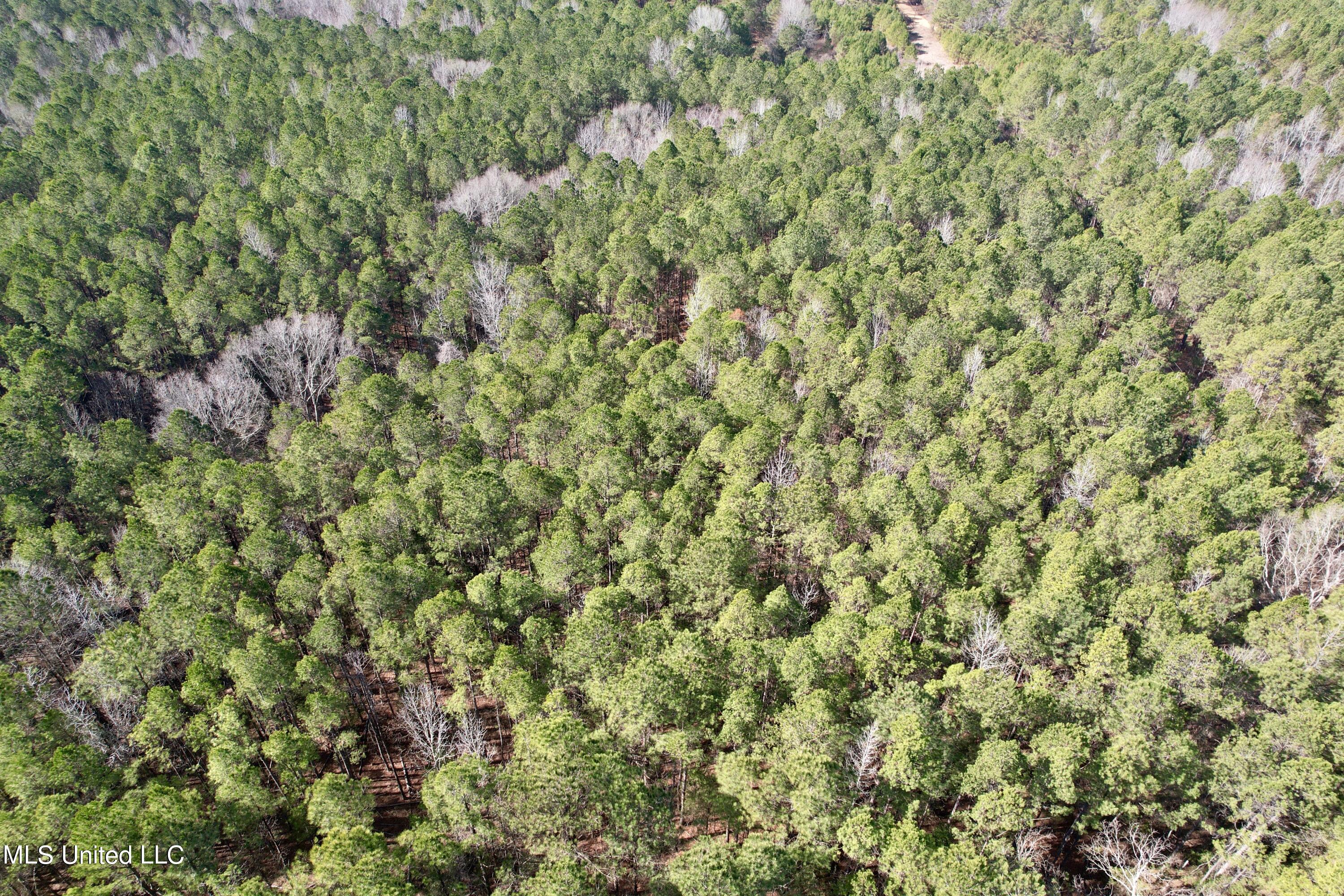 Bates Road Road Louisville, MS 39339 - Photo 17 of 27 dji_fly_20240201_110632_523_170688370211