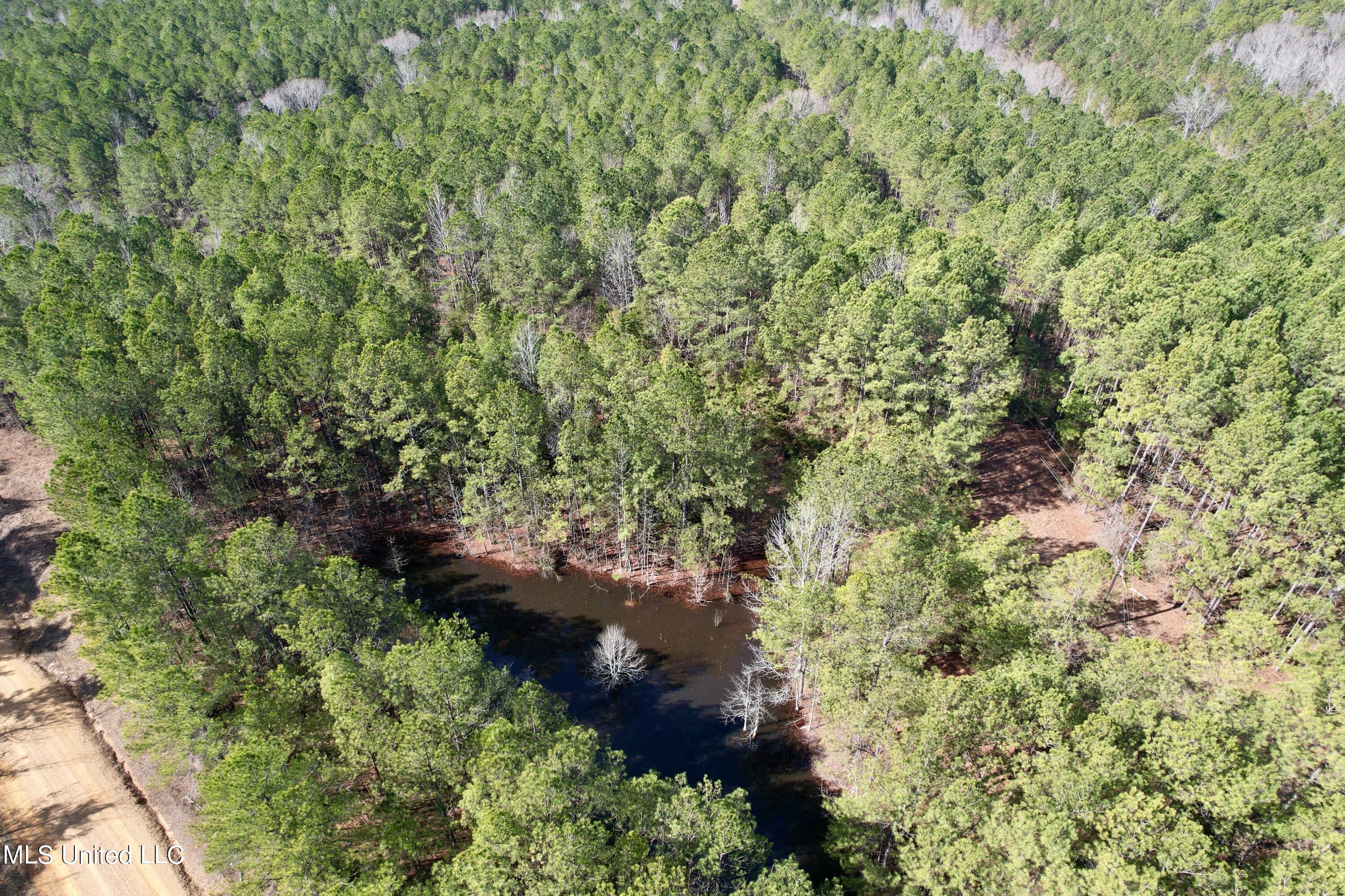 Bates Road Road Louisville, MS 39339 - Photo 18 of 27 dji_fly_20240201_110620_522_170688370459