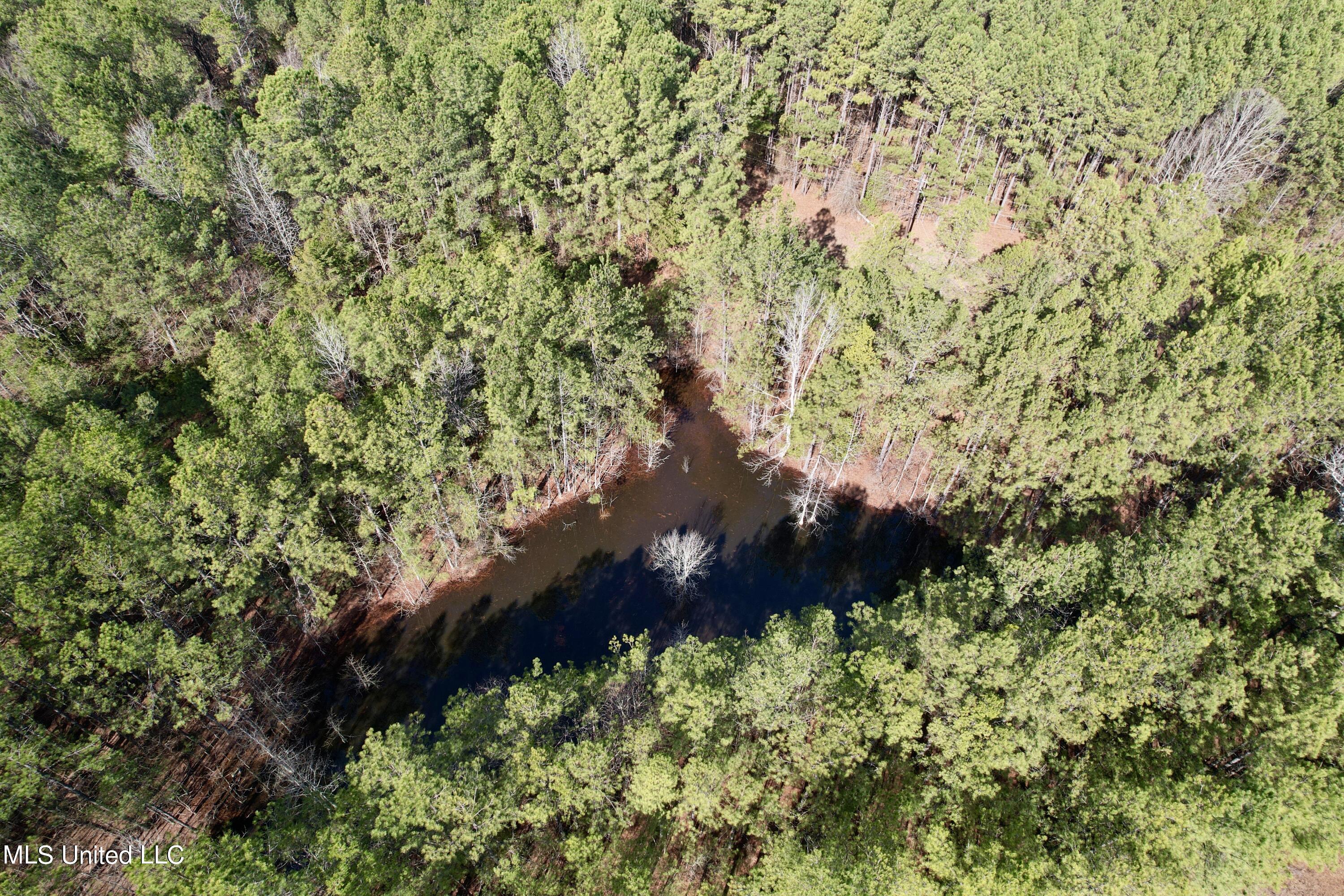 Bates Road Road Louisville, MS 39339 - Photo 19 of 27 dji_fly_20240201_110516_517_170688371639