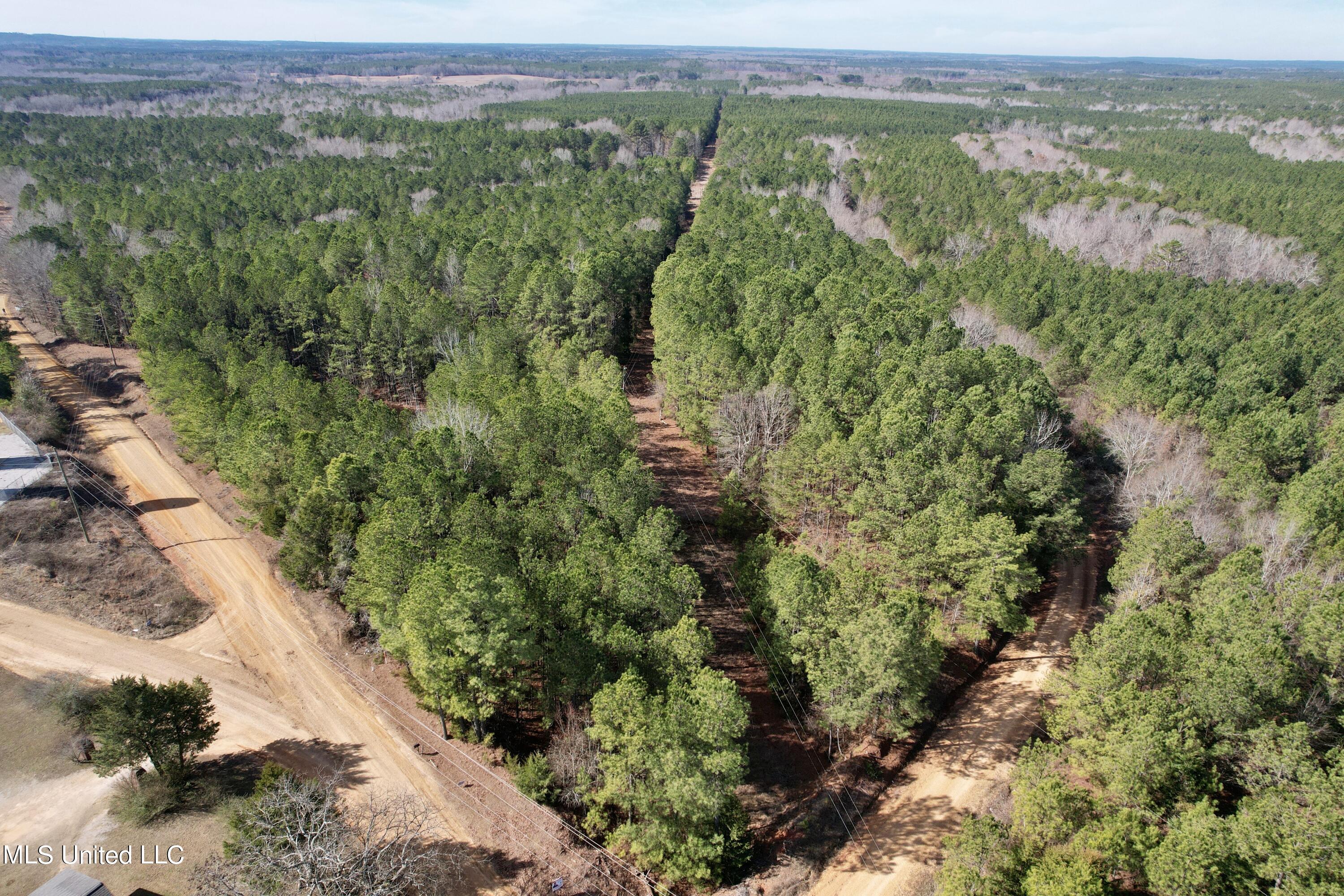 Bates Road Road Louisville, MS 39339 - Photo 20 of 27 dji_fly_20240201_110604_521_170688370679