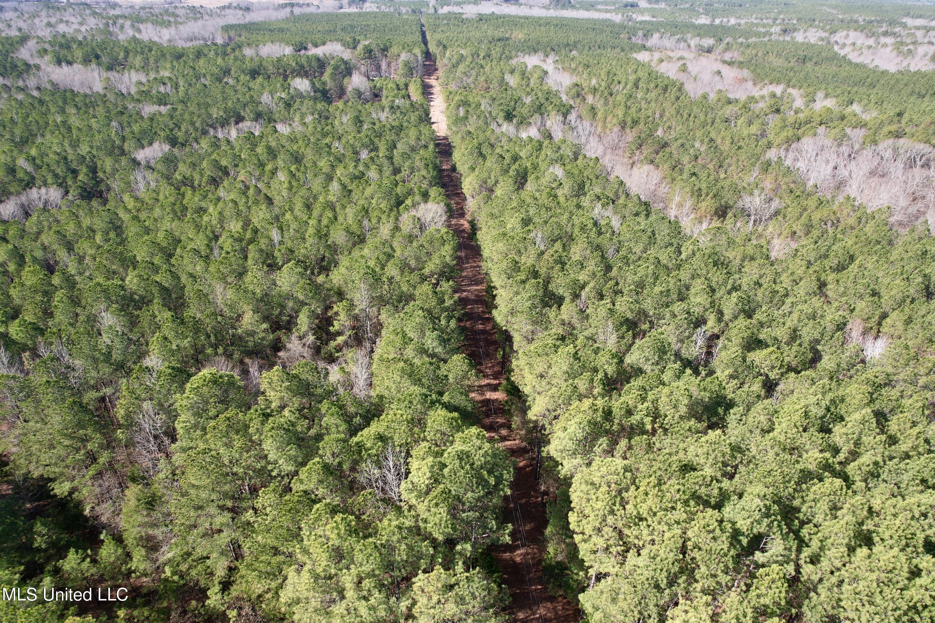 Bates Road Road Louisville, MS 39339 - Photo 21 of 27 dji_fly_20240201_110532_518_170688371390