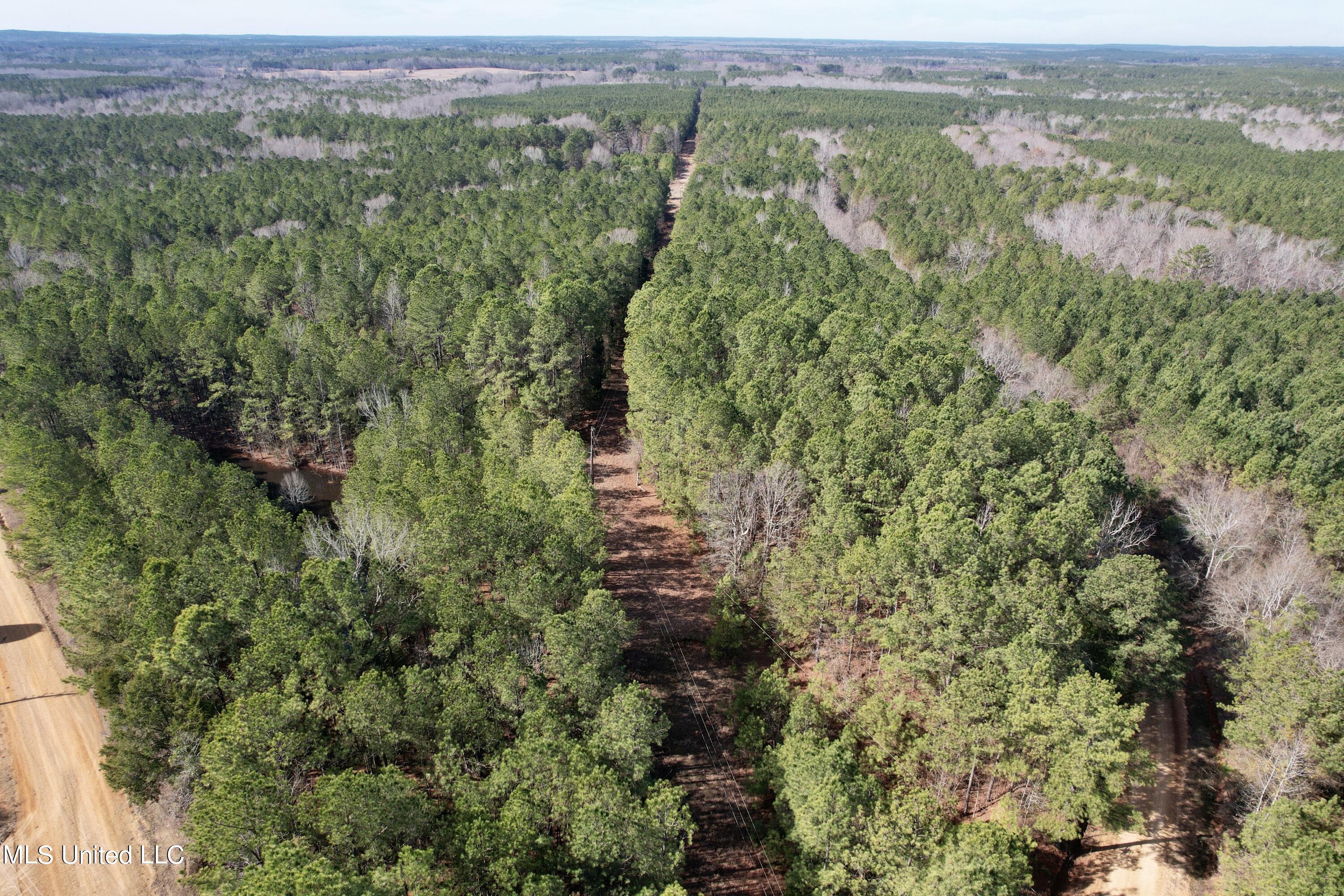 Bates Road Road Louisville, MS 39339 - Photo 22 of 27 dji_fly_20240201_110554_520_170688370910