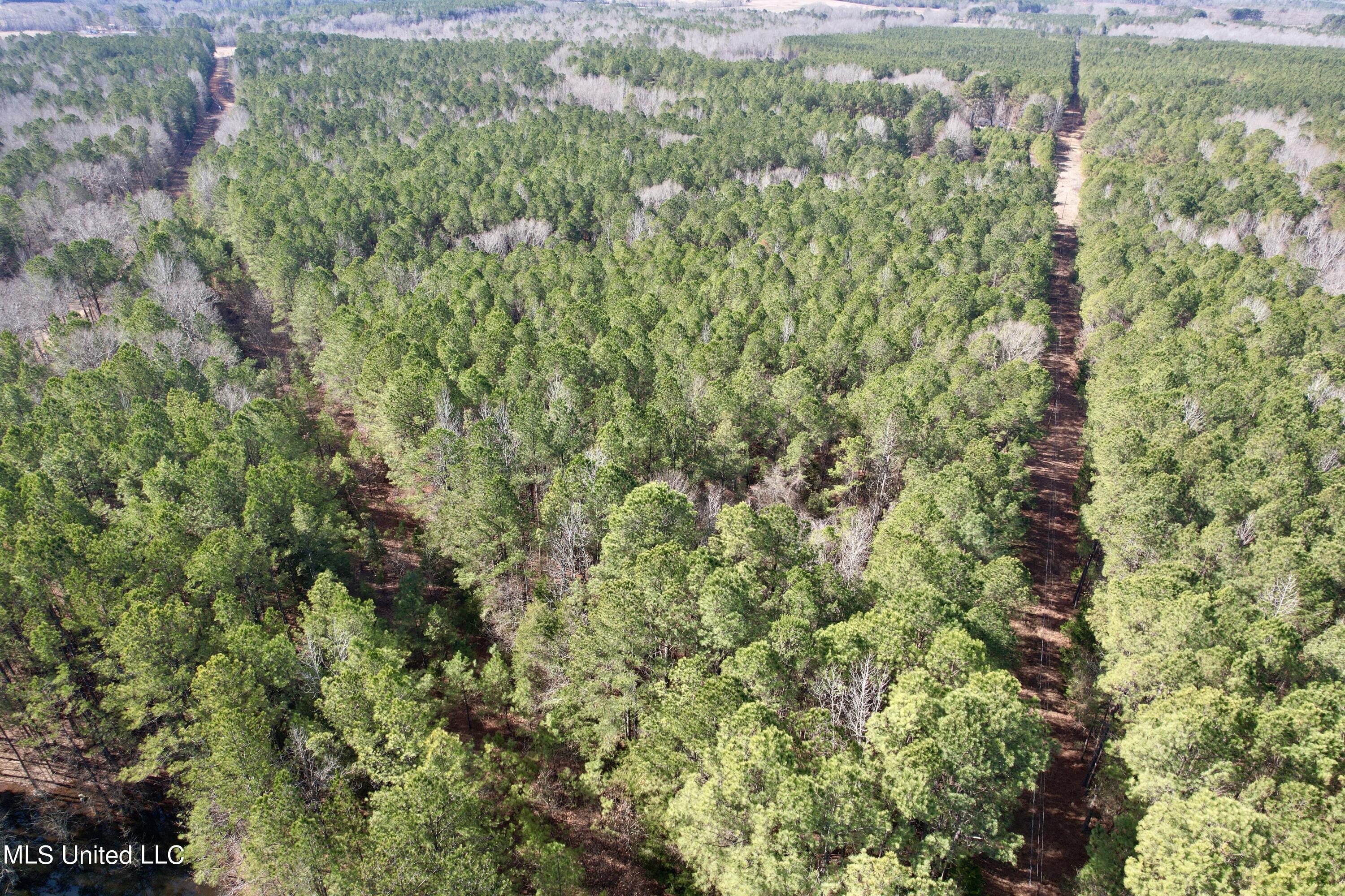 Bates Road Road Louisville, MS 39339 - Photo 23 of 27 dji_fly_20240201_110534_519_170688371150