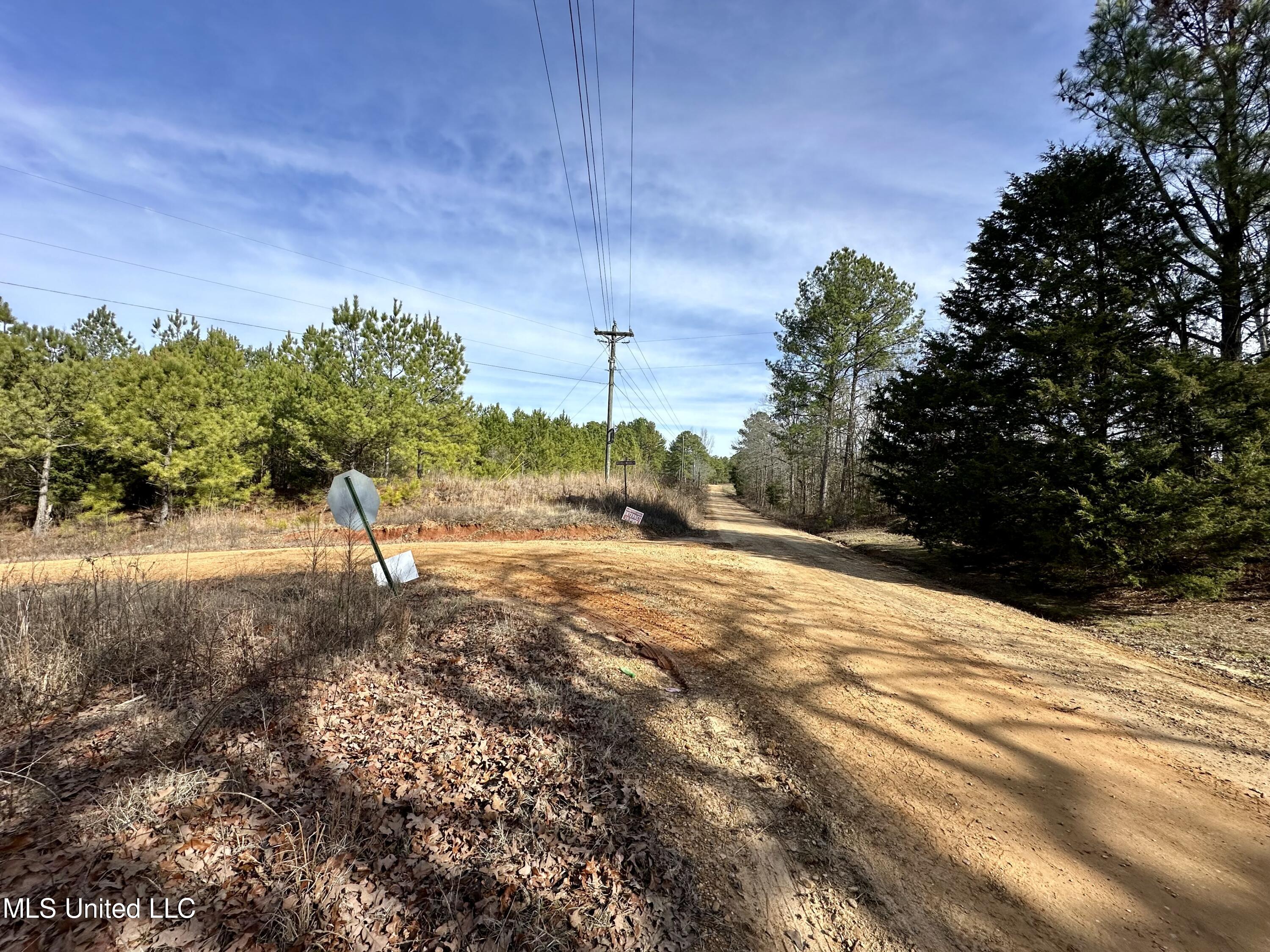 Bates Road Road Louisville, MS 39339 - Photo 3 of 27 IMG_5564