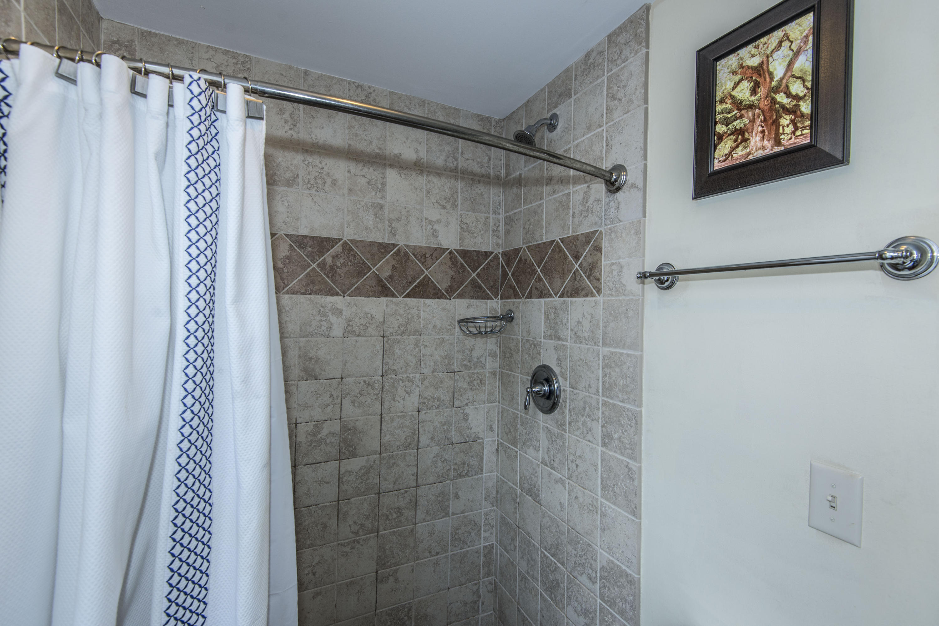 9 Gadsden Street Charleston, SC 29401 - Photo 24 of 64 _DSC3163