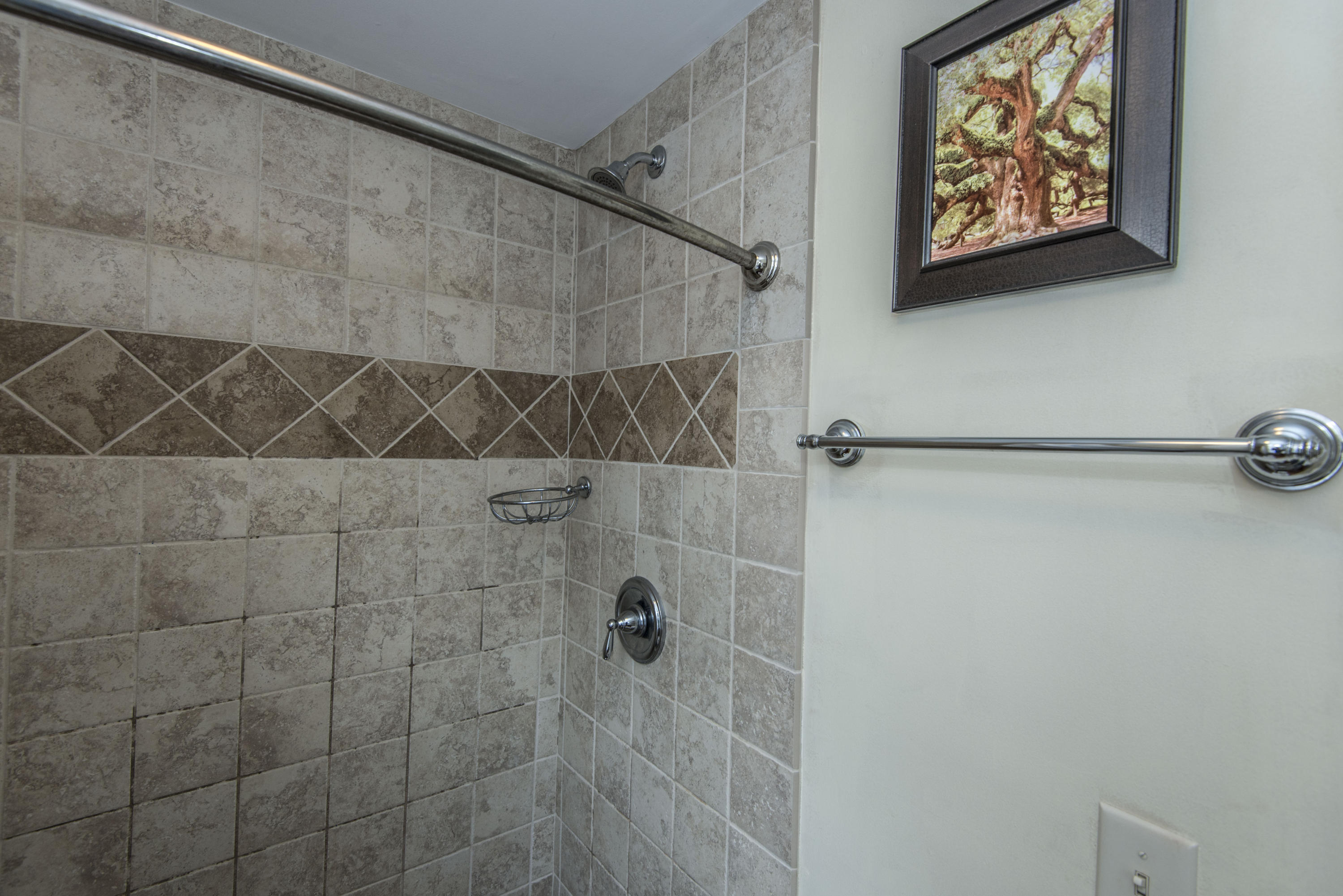 9 Gadsden Street Charleston, SC 29401 - Photo 25 of 64 _DSC3164