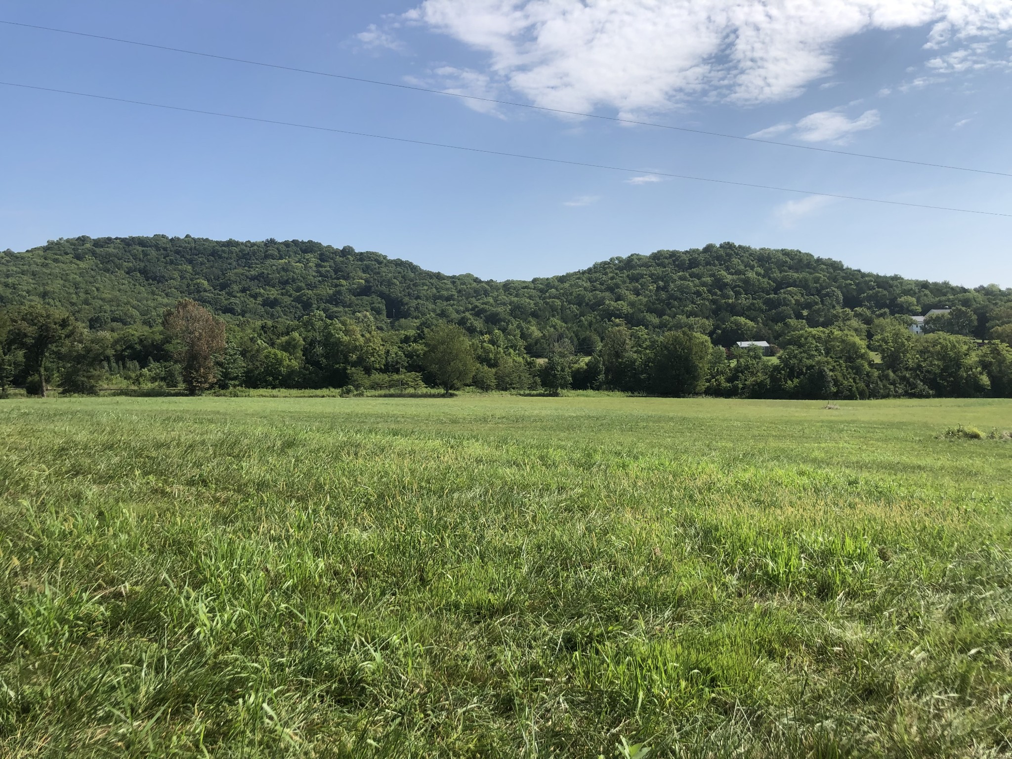 2247 Skinner Road Arrington, TN 37014 - Photo 1 of 25 Gallery Image 1