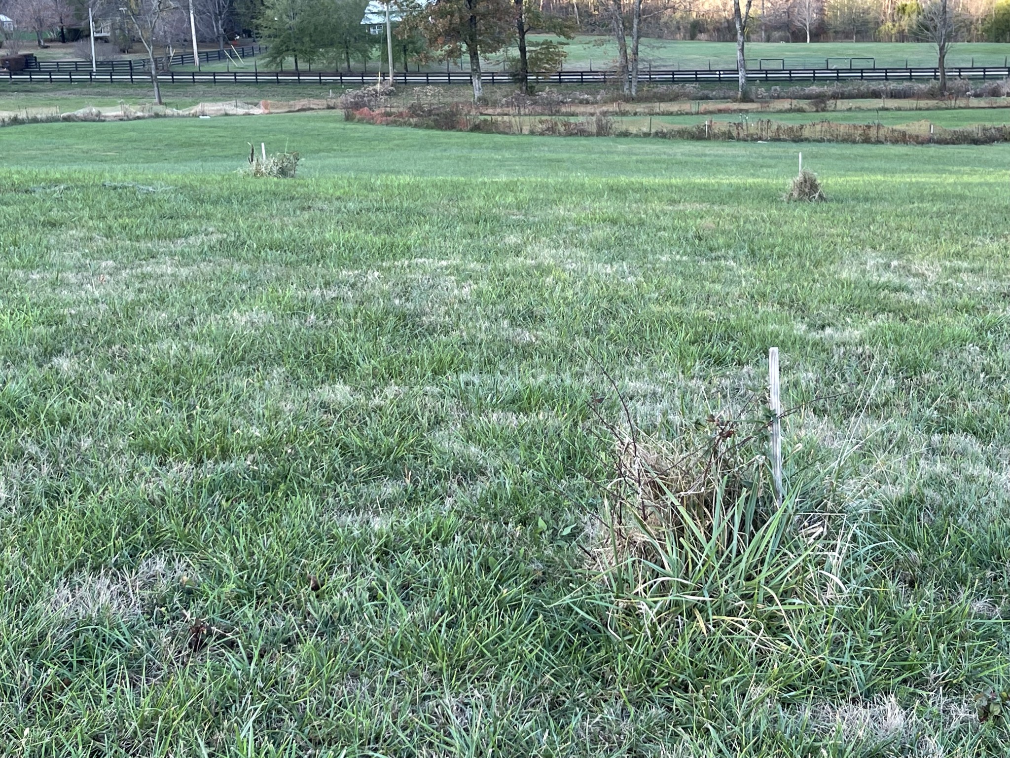 2247 Skinner Road Arrington, TN 37014 - Photo 25 of 25 Gallery Image 25