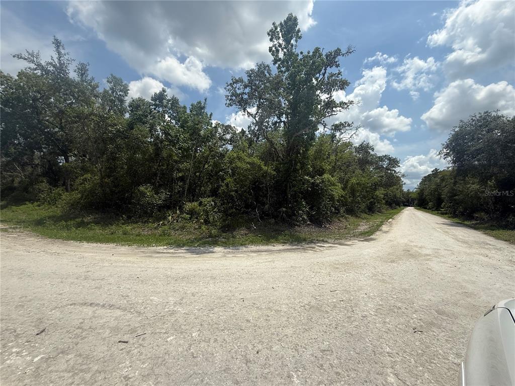 7419 Southeast Avenue Webster, FL 33597 - Photo 5 of 7 a view of a yard with trees