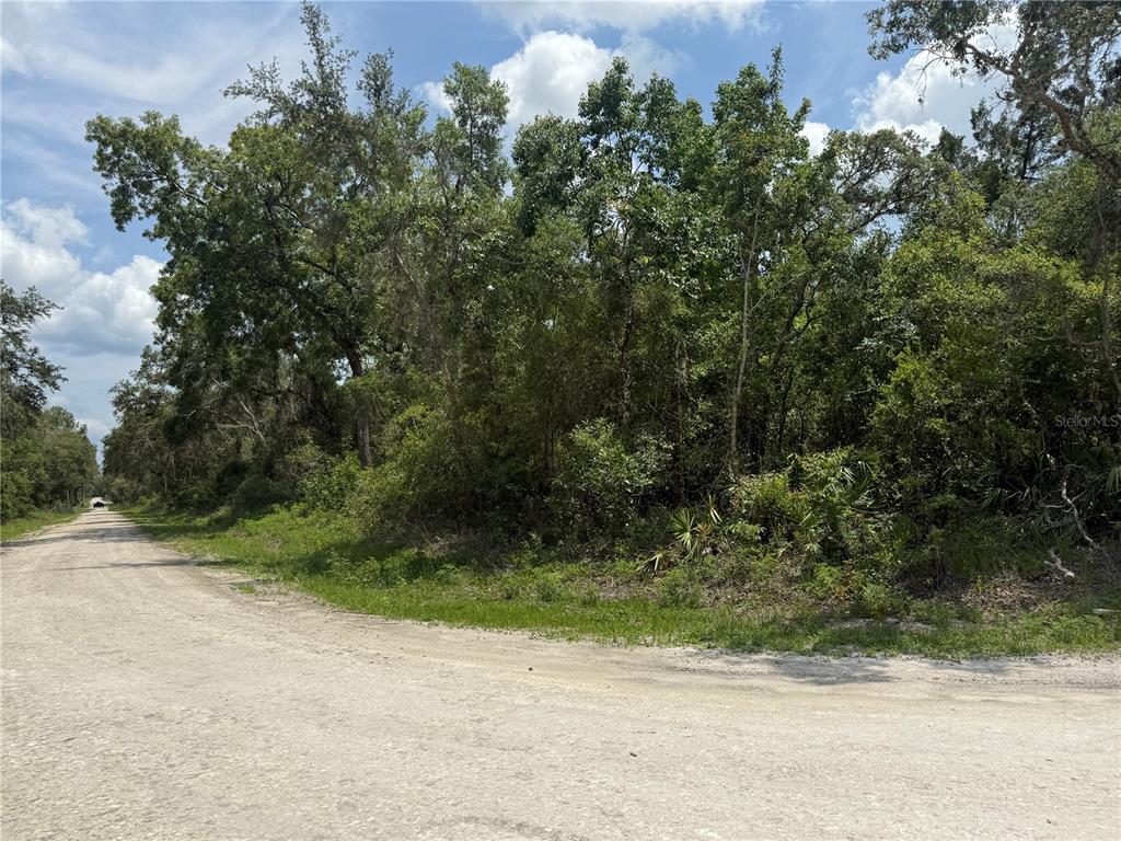 7419 Southeast Avenue Webster, FL 33597 - Photo 6 of 7 a view of a yard with a tree