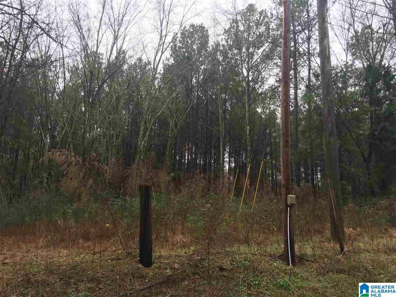 1205 Eureka Road, Unit 3 Lincoln, AL 35096 - Photo 17 of 31