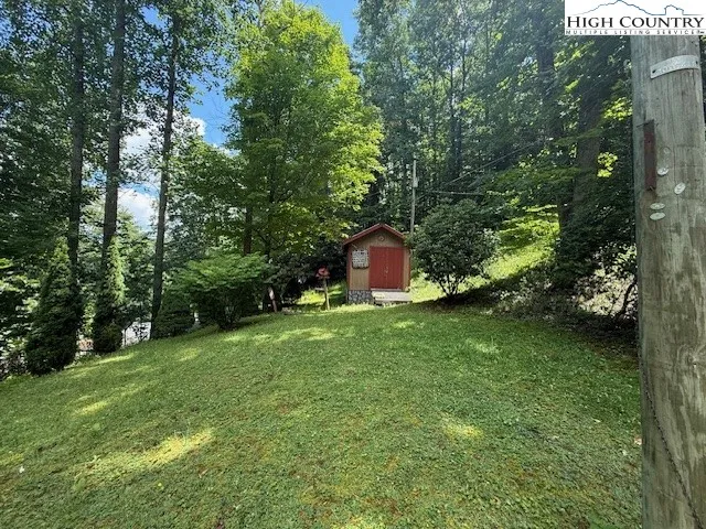 a backyard of a house with plants and large tree