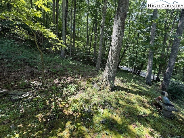 2202 Old 16 Highway Jefferson, NC 28640 - Photo 24 of 27 a view of outdoor space and green space
