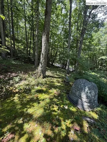 a view of a couches in the back yard