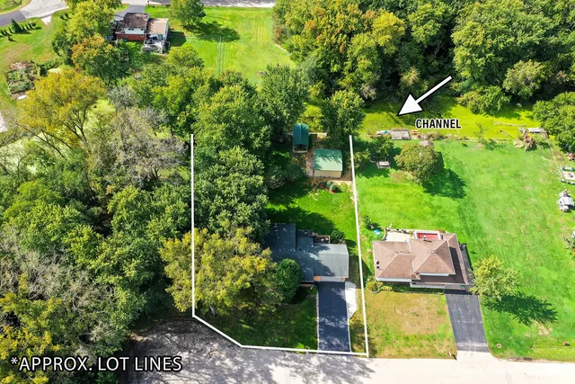 view of a yard with plants