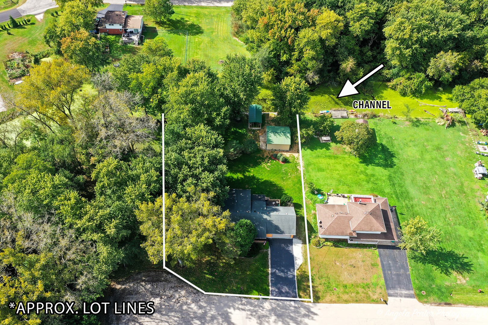 view of a yard with plants