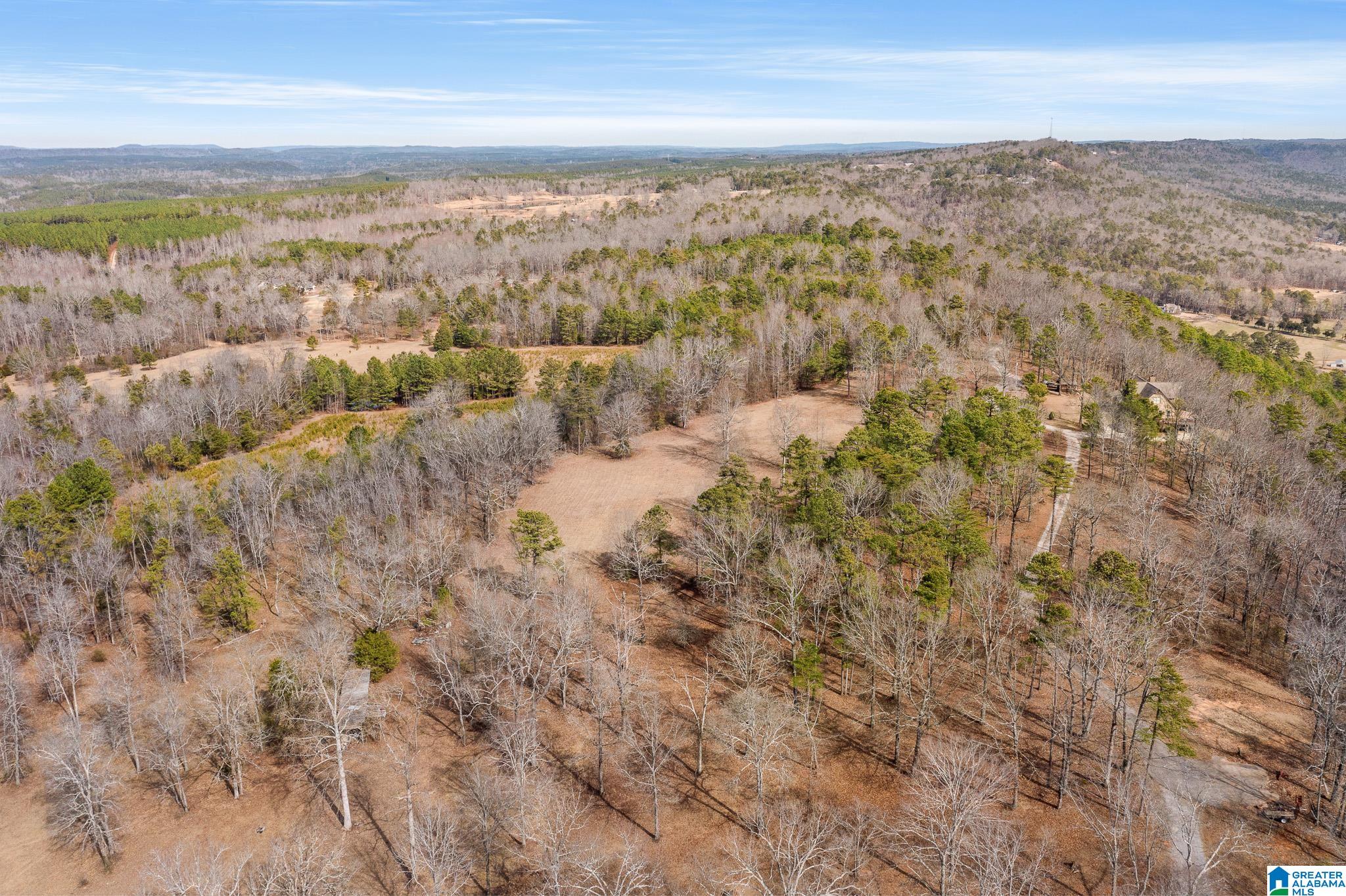 575 Mountain View Lane Springville, AL 35146 - Photo 82 of 84