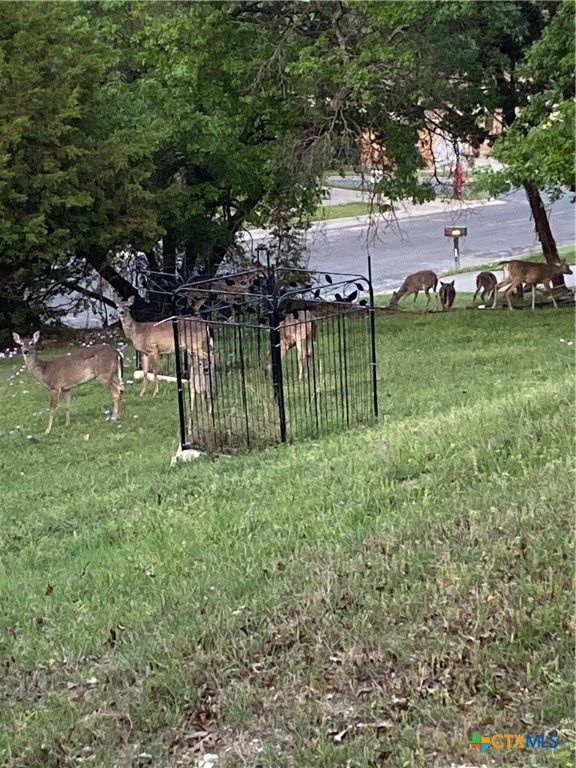 1307 Sherry Lane, Unit B Copperas Cove, TX 76522 - Photo 47 of 48