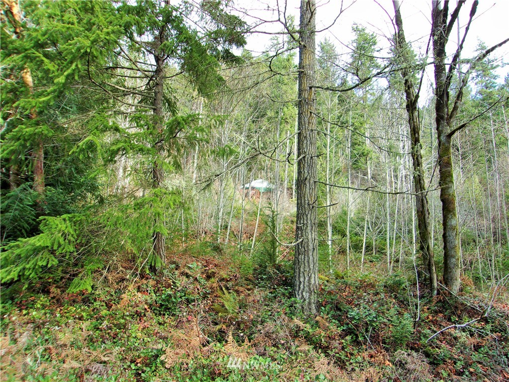 372 Rocky Brook Road Brinnon, WA 98320 - Photo 11 of 12 Gallery Image 11