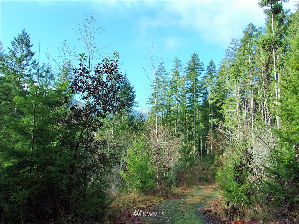 372 Rocky Brook Road Brinnon, WA 98320 - Photo 5 of 12 Gallery Image 5