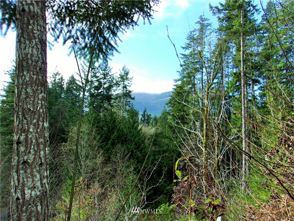 372 Rocky Brook Road Brinnon, WA 98320 - Photo 10 of 12 Gallery Image 10