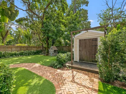a view of a yard with plants and trees
