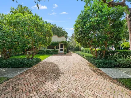 a view of a park with a large trees