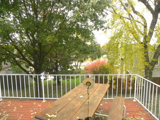 41 North Bereman Road Montgomery, IL 60538 - Photo 8 of 20