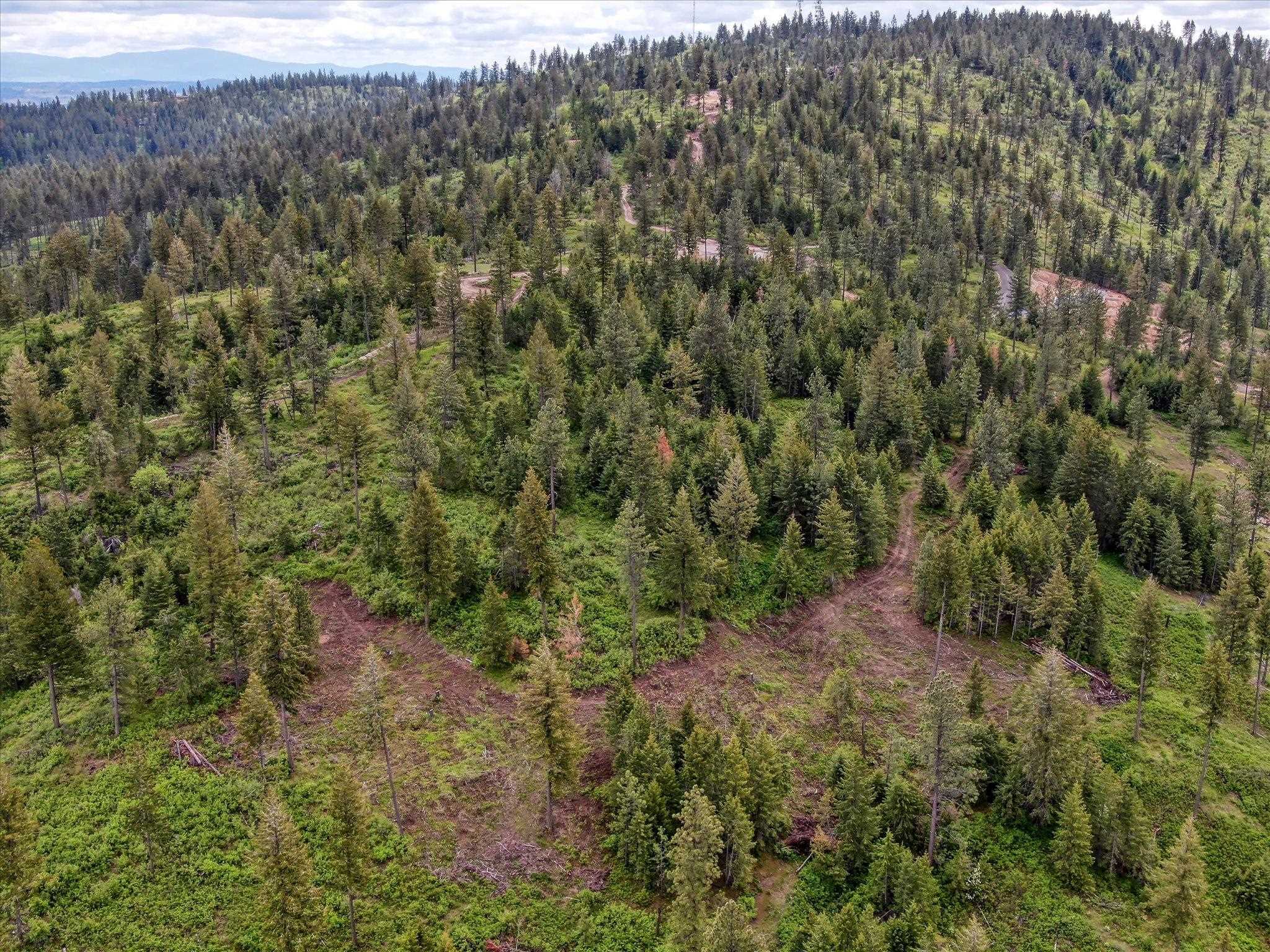 Nka West Bernhill Road Spokane, WA 99208 - Photo 11 of 42