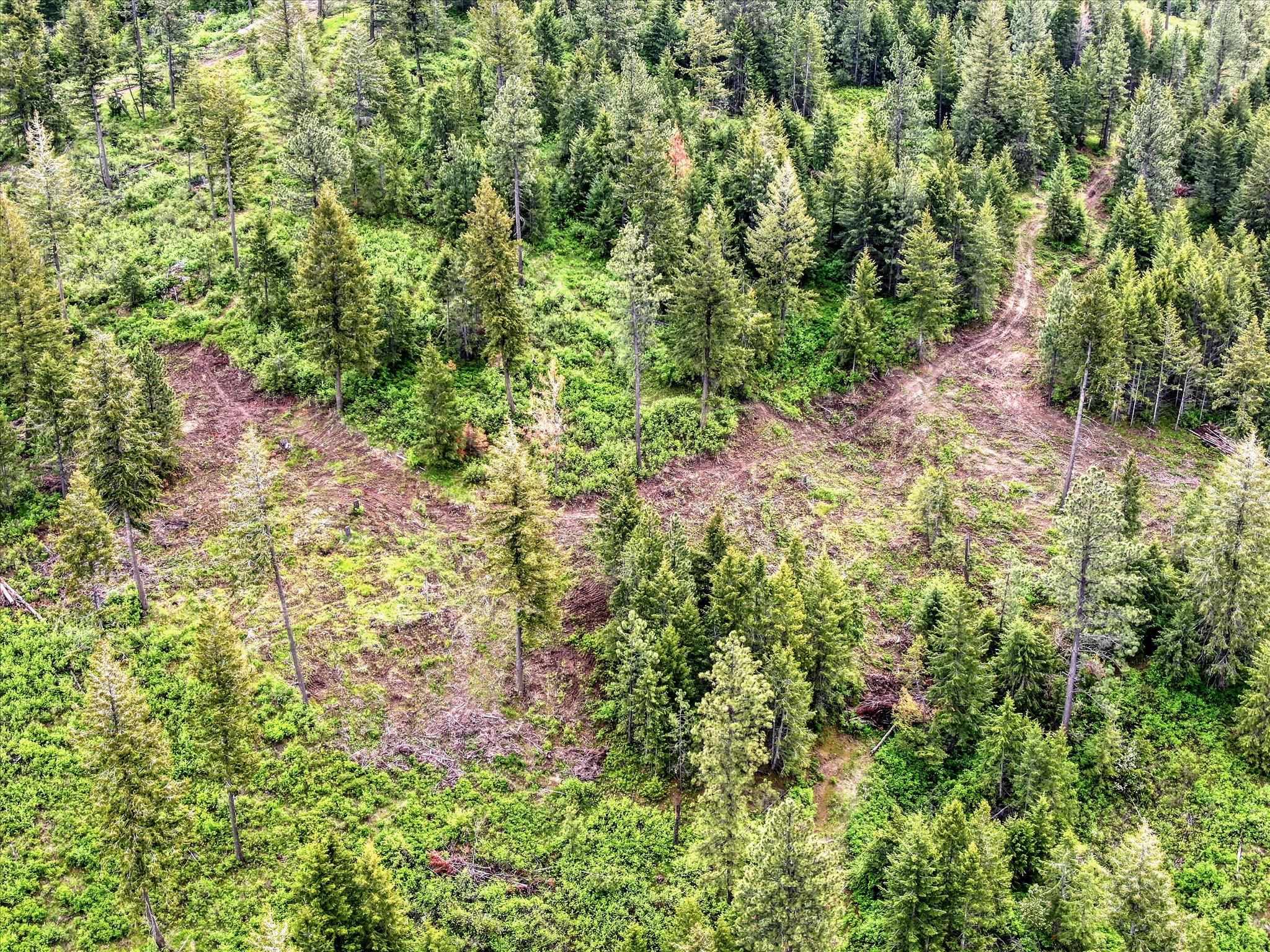 Nka West Bernhill Road Spokane, WA 99208 - Photo 12 of 42