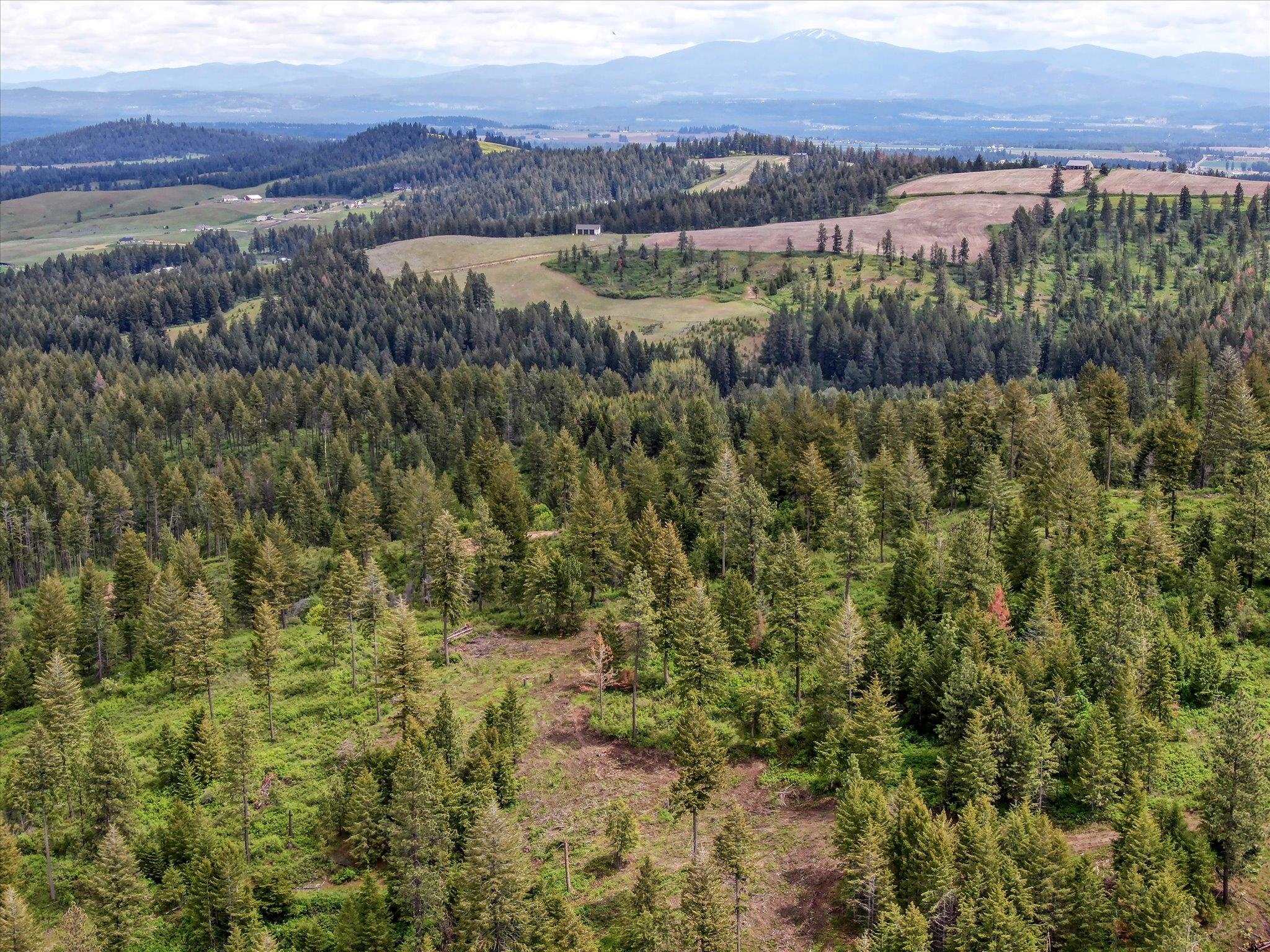 Nka West Bernhill Road Spokane, WA 99208 - Photo 13 of 42