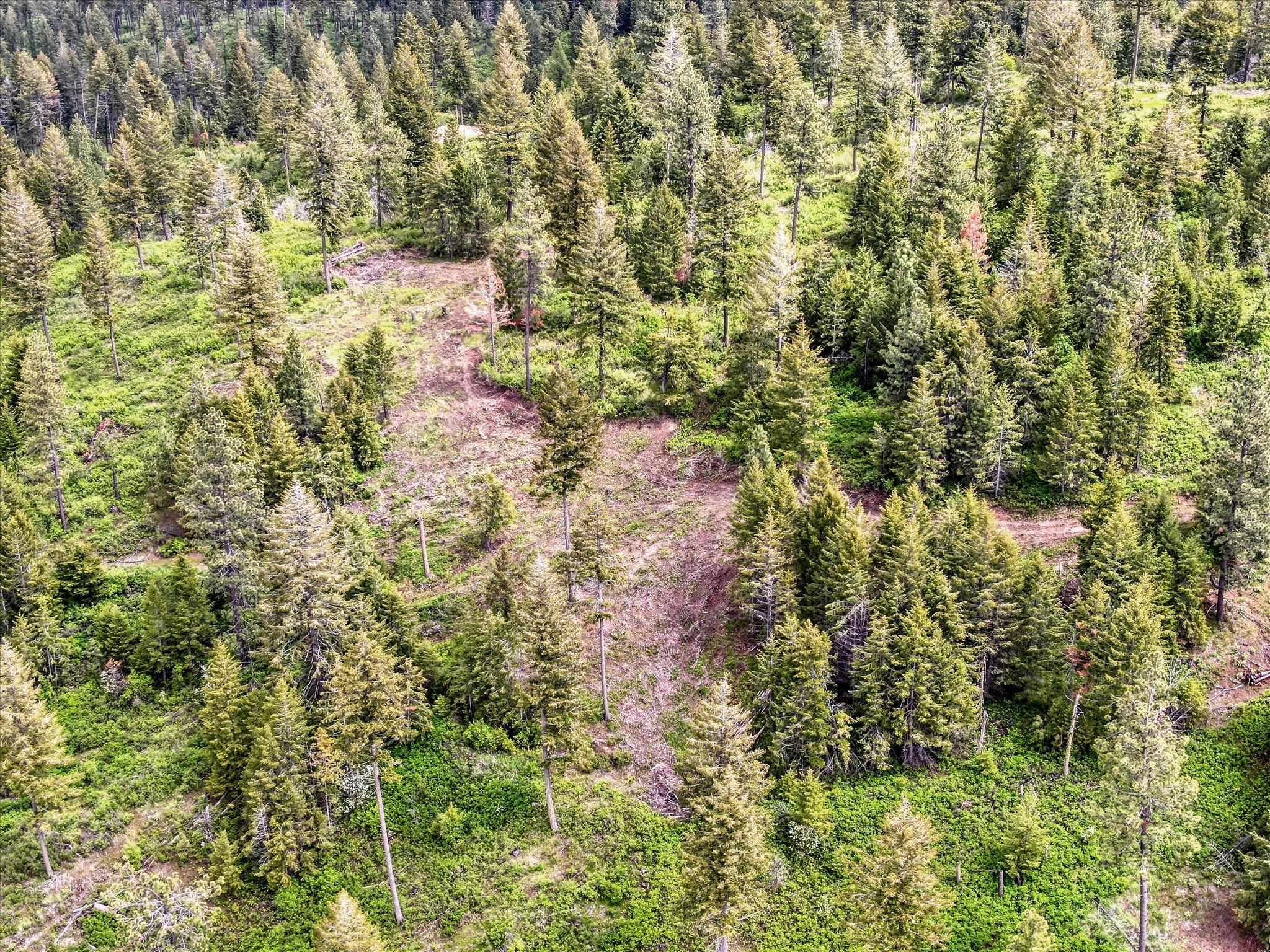 Nka West Bernhill Road Spokane, WA 99208 - Photo 14 of 42