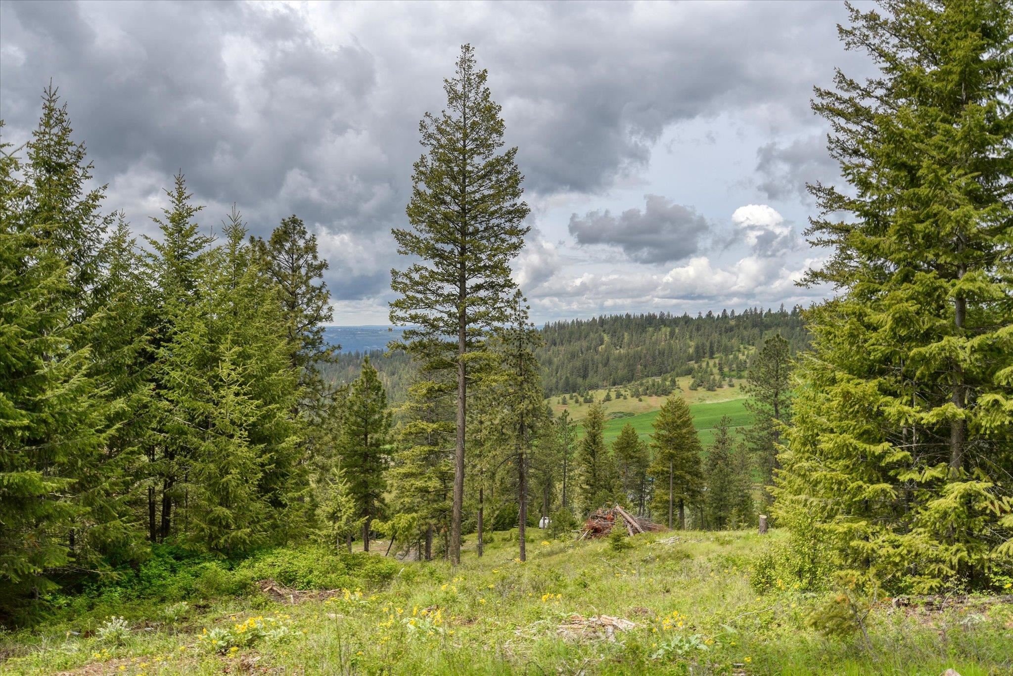 Nka West Bernhill Road Spokane, WA 99208 - Photo 21 of 42